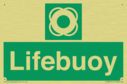 lifebuoy-with-symbol~